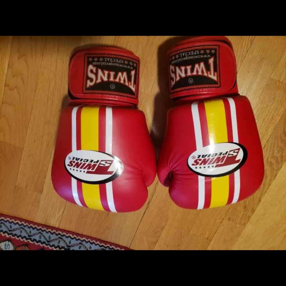 Muy Thai Gloves